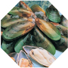 NZ Half shell mussels - Kpack
